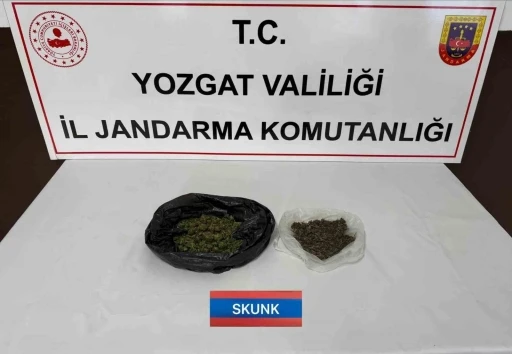 Yozgat&rsquo;ta Jandarma ekipleri uyuşturucuyla m&uuml;cadeleyi s&uuml;rd&uuml;r&uuml;yor
