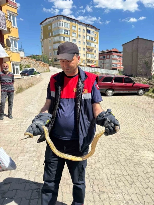 Yozgat&rsquo;ta otomobile giren yılanı itfaiye ekipleri &ccedil;ıkardı
