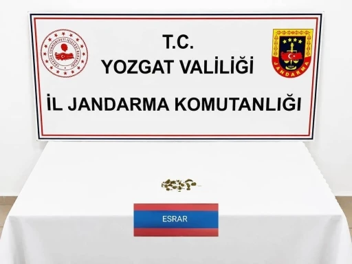 Yozgat&rsquo;ta uyuşturucu operasyonunda 1 g&ouml;zaltı
