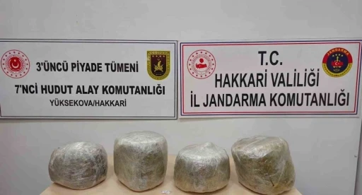 Y&uuml;ksekova&rsquo;da 11 kilo skunk ele ge&ccedil;irildi
