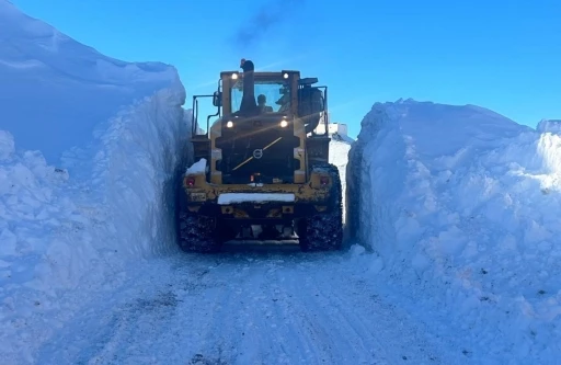 Y&uuml;ksekova&rsquo;da 3 metrelik karla zorlu m&uuml;cadele
