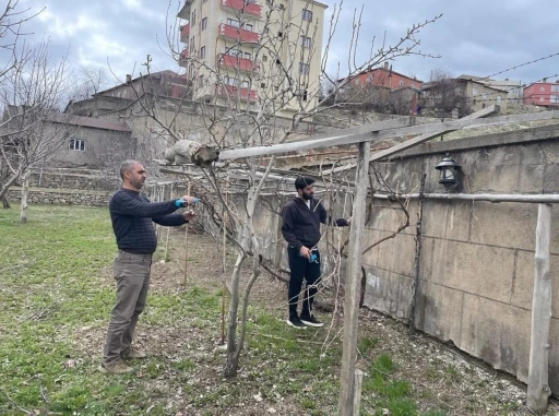 Yüksekova’da ağaçlar budandı, uygulamalı eğitim verildi
