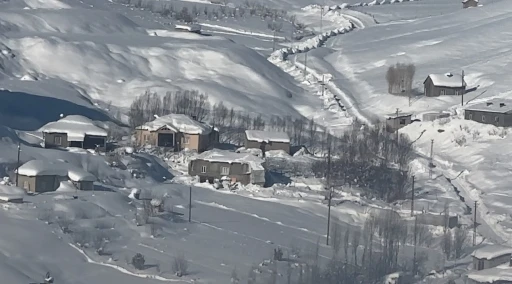 Y&uuml;ksekova&rsquo;da &ccedil;ift&ccedil;ilere "kurt saldırısı" uyarısı
