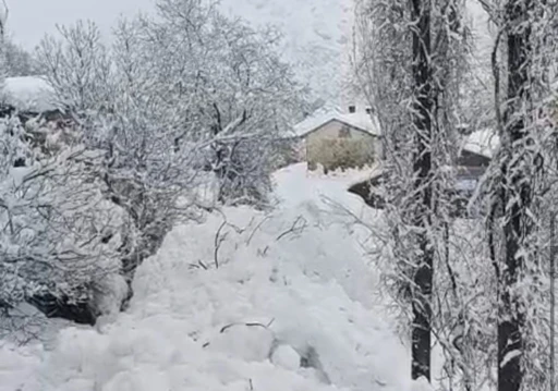 Y&uuml;ksekova&rsquo;da &ccedil;ığ yerleşim yerine indi: Facianın eşiğinden d&ouml;n&uuml;ld&uuml;
