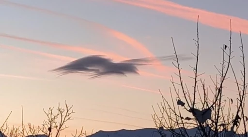 Y&uuml;ksekova&rsquo;da g&ouml;ky&uuml;z&uuml;nde doğa ş&ouml;leni: Bir bulut onlarca sil&uuml;et
