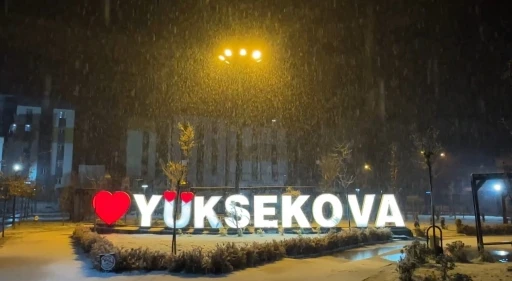 Yüksekova’da lapa lapa kar yağışı
