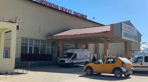 Y&uuml;ksekova&rsquo;da patlama: 1 &ccedil;oban yaralı, 3 koyun telef oldu
