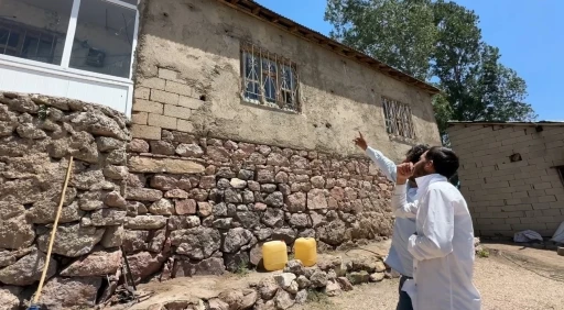 Y&uuml;ksekova&rsquo;da yılanlar bir evin kabusu oldu
