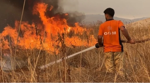 Yüksekova kuş cenneti alevlere teslim: Yangın kontrol altına alınamıyor
