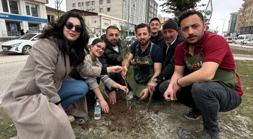 Y&uuml;ksekovalı girişimci kadın &ccedil;evreye dikkat &ccedil;ekmek i&ccedil;in fidan dikti

