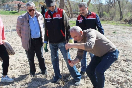 Yükümlüler ile meyve fidanlarında dikim budaması eğitimi yapıldı
