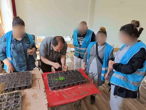 Yükümlülerin ektiği tohumlardan çıkacak ürünler ihtiyaç sahiplerine dağıtılacak
