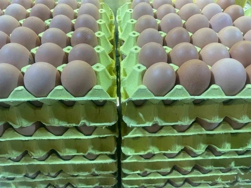 Yumurta fiyatları &quot;mayıs çukuru&quot; yaklaşınca düşüşe geçti
