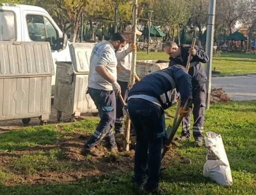 Yunusemre’de ağaçlandırma çalışmaları sürüyor
