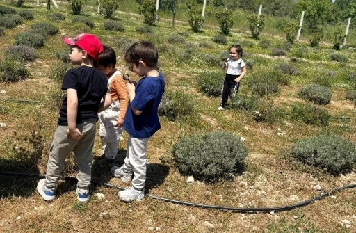 Yunusemreli minikler Ortak&ouml;y&rsquo;de doğayla buluştu
