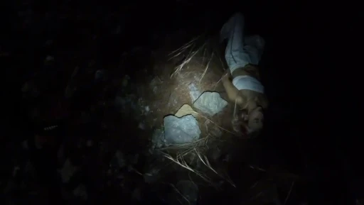 Yürüyüş esnasında uçurumdan düşen Ukraynalı 2 turist kurtarıldı
