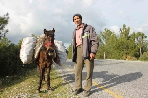 Zeki Amca’nın en büyük yardımcısı küheylanı

