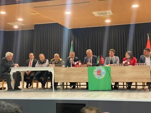 Zeytin &uuml;reticileri i&ccedil;in destek ve markalaşma &ouml;nerisi
