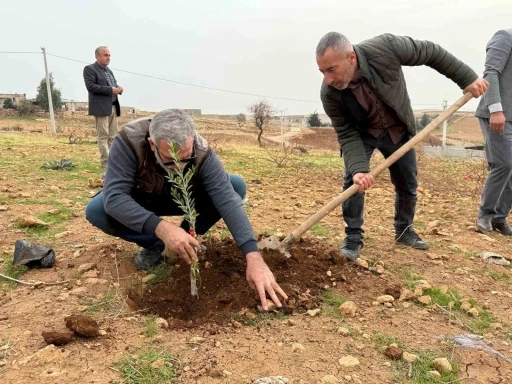 Zeytinli Mahallesi sıfır atık k&ouml;y&uuml; olma yolunda ilerliyor
