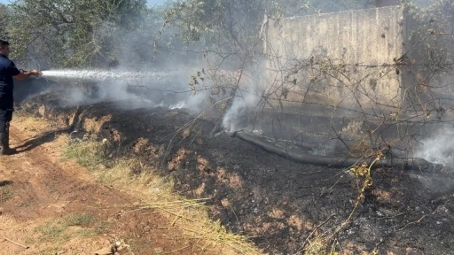 Zeytinlik alanda &ccedil;ıkan yangın, b&uuml;y&uuml;meden s&ouml;nd&uuml;r&uuml;ld&uuml;
