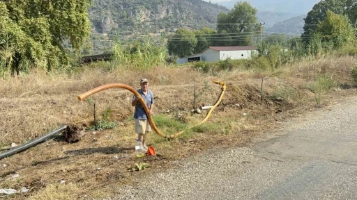 Zeytinlikleri k&uuml;l oldu, g&ouml;zyaşını i&ccedil;ine akıtıp yangına su taşıdı
