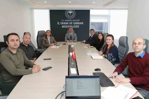 Zeytinyağı &Ccedil;alıştayı i&ccedil;in hazırlıklar başladı
