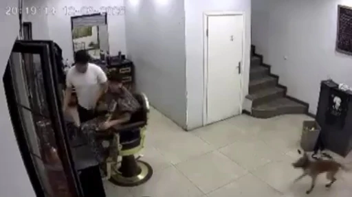 Zincirini koparan köpek kuaförde müşteriye ısırdı
