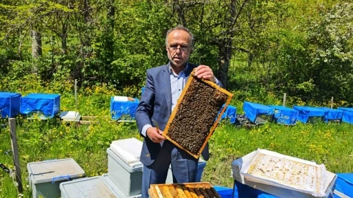 Zirai don Artvin’de arıcılığı vurdu, bu sezon bal üretiminde yüzde 60’a varan kayıp bekleniyor

