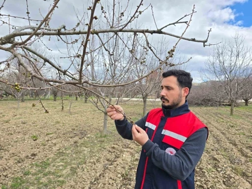 Zirai don olaylarına karşı meyve bah&ccedil;elerinde kontroller s&uuml;r&uuml;yor
