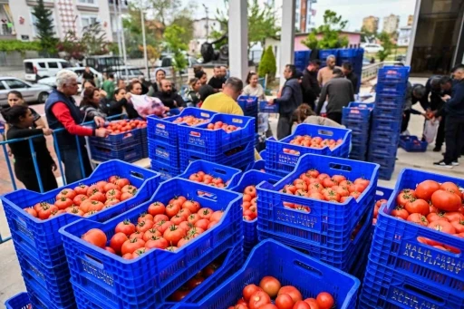 Zirai dona karşı Muratpaşa’dan 10 tonluk domates desteği
