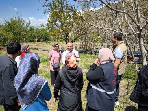 Zirai dona karşı sigorta yaptıran çiftçilerin zararları inceleniyor
