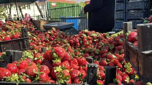 Zirai donun ardından pazarda çilek bolluğu
