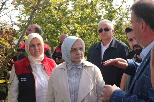Zirai donun etkilediği yerde inceleme

