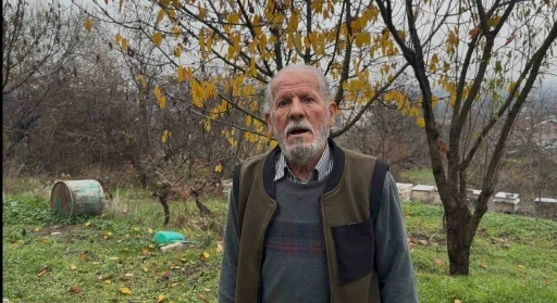 Zirai ila&ccedil; y&uuml;z&uuml;nden milyonlarca arısı kovana d&ouml;nemeden &ouml;ld&uuml;
