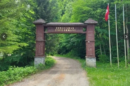 Zonguldak ormanlarda ateş yakılması yasaklandı
