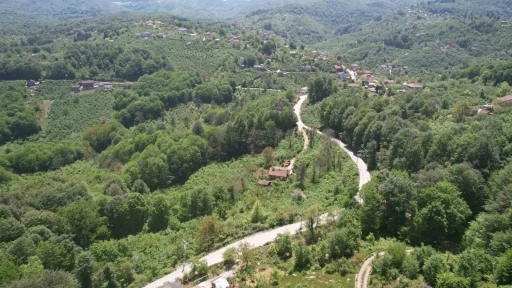 Zonguldak ormanları baharın gelişiyle dronla g&ouml;r&uuml;nt&uuml;lendi
