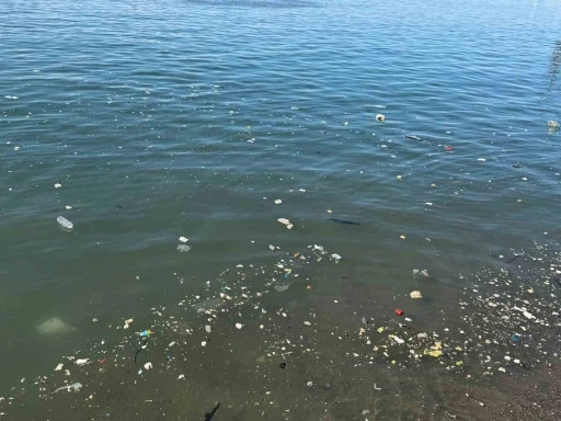Zonguldak sahilinde &ccedil;&ouml;p tepkisi

