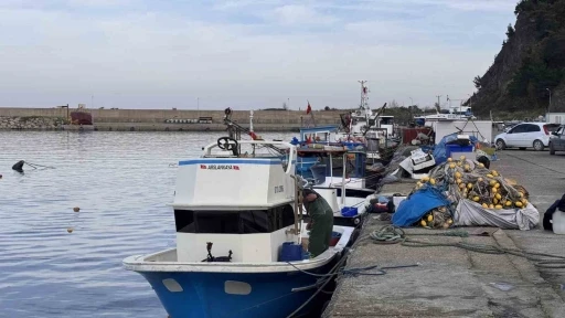 Zonguldak&rsquo;ta hamsi yoğunluğu yaşandı, palamut &ccedil;ıkmadı
