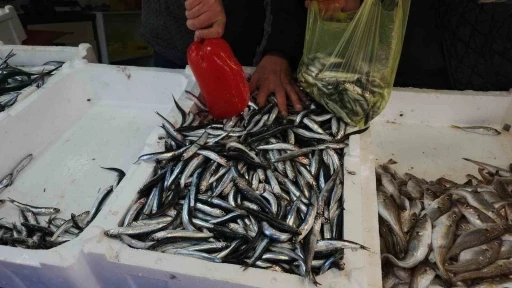 Zonguldak&rsquo;ta limandan 500 ton hamsi &ccedil;ıktı
