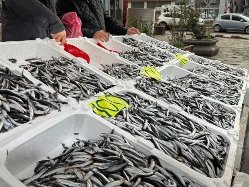 Zonguldak&rsquo;ta Sevgililer G&uuml;n&uuml;&rsquo;ne &ouml;zel hamsi kampanyası: Kilosunu 100 liradan sattılar
