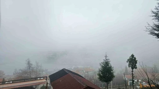 Zonguldak&rsquo;ta sis etkili oldu

