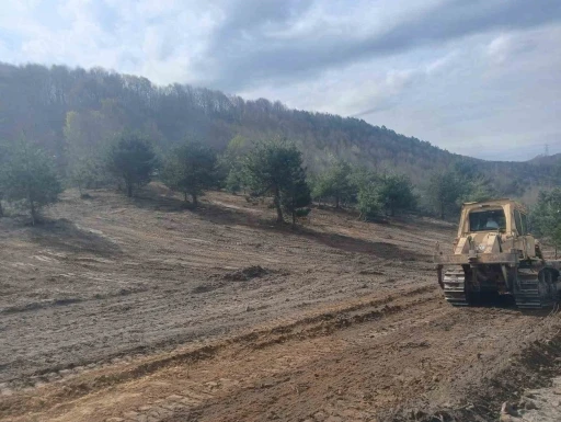 Zonguldak’ta sokak hayvanları için çalışmalar hız kazandı
