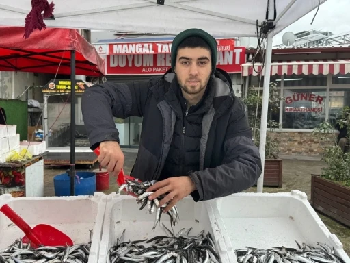 Zonguldak&rsquo;ta tezgahta hamsinin yerini istavrit ve mezgit alacak
