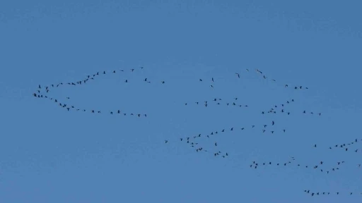 Zorlu göçün durağı Erçek Gölü
