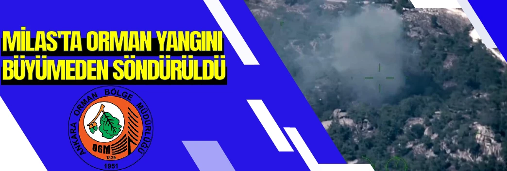 Milas'taki orman yangını söndürüldü