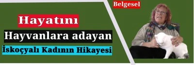 Kedilerin annesi İskoçyalı Jeanie Thrikil