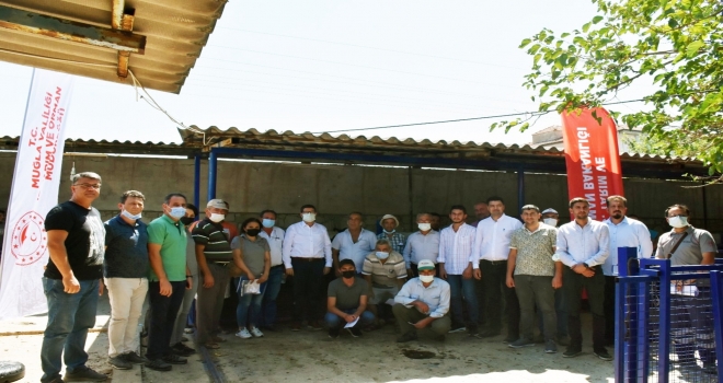 Yangın Mağduru Çiftçilere Havyan Desteği