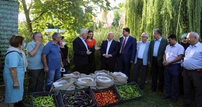 Menteşede Hasat Şenliği