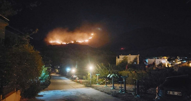 Bodrumda Makilik Alanda Yangın