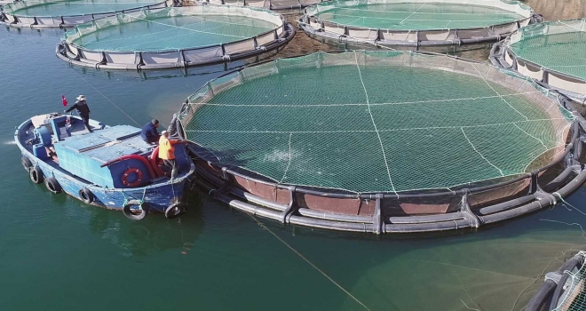 Muğla Ağustos Ayında 67 Milyon 618 Bin Tl İhracat Yaptı